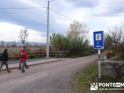 Enología en Rioja - Senderismo Camino de Santiago; senderos murcia